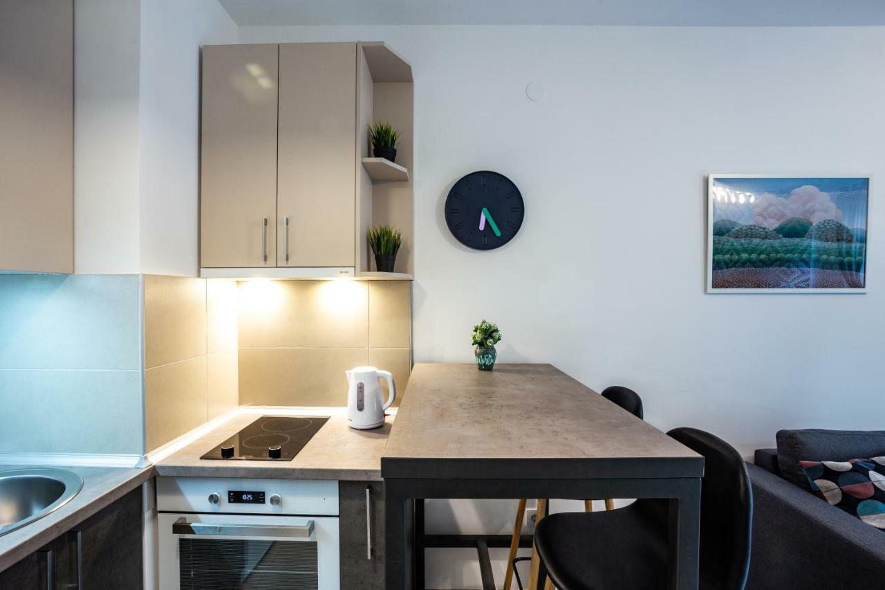 Modern Naive Downtown With Free Private Garage-Fast Wi-Fi Apartment Novi Sad Exterior photo
